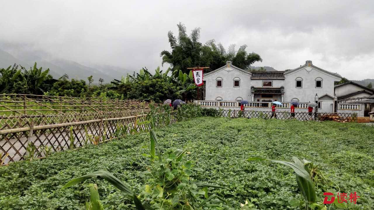 村民理事会主导打造美丽乡村 梅州贫困乡变“花海”