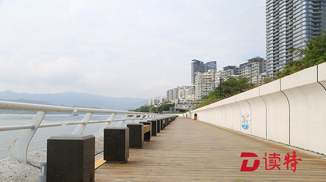 沙头角海滨栈道更新改造提前完工！国庆长假去这里吹海风