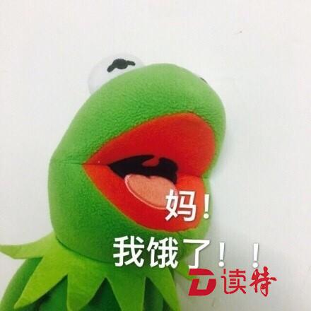 霓虹灯闪烁下的蛙蛙们是不是王子？