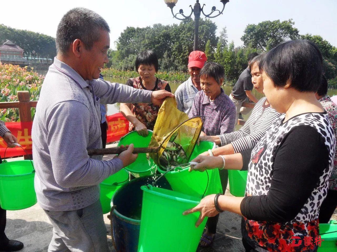 为保护环境 他们让210万尾鱼苗游进麻涌乡村河涌……