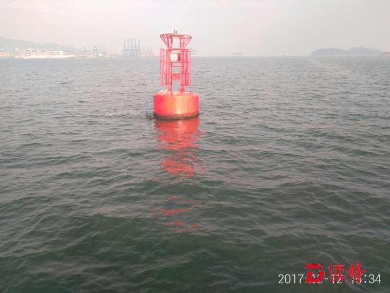 海豚把这里当家了！年内第三次现身盐田港海域