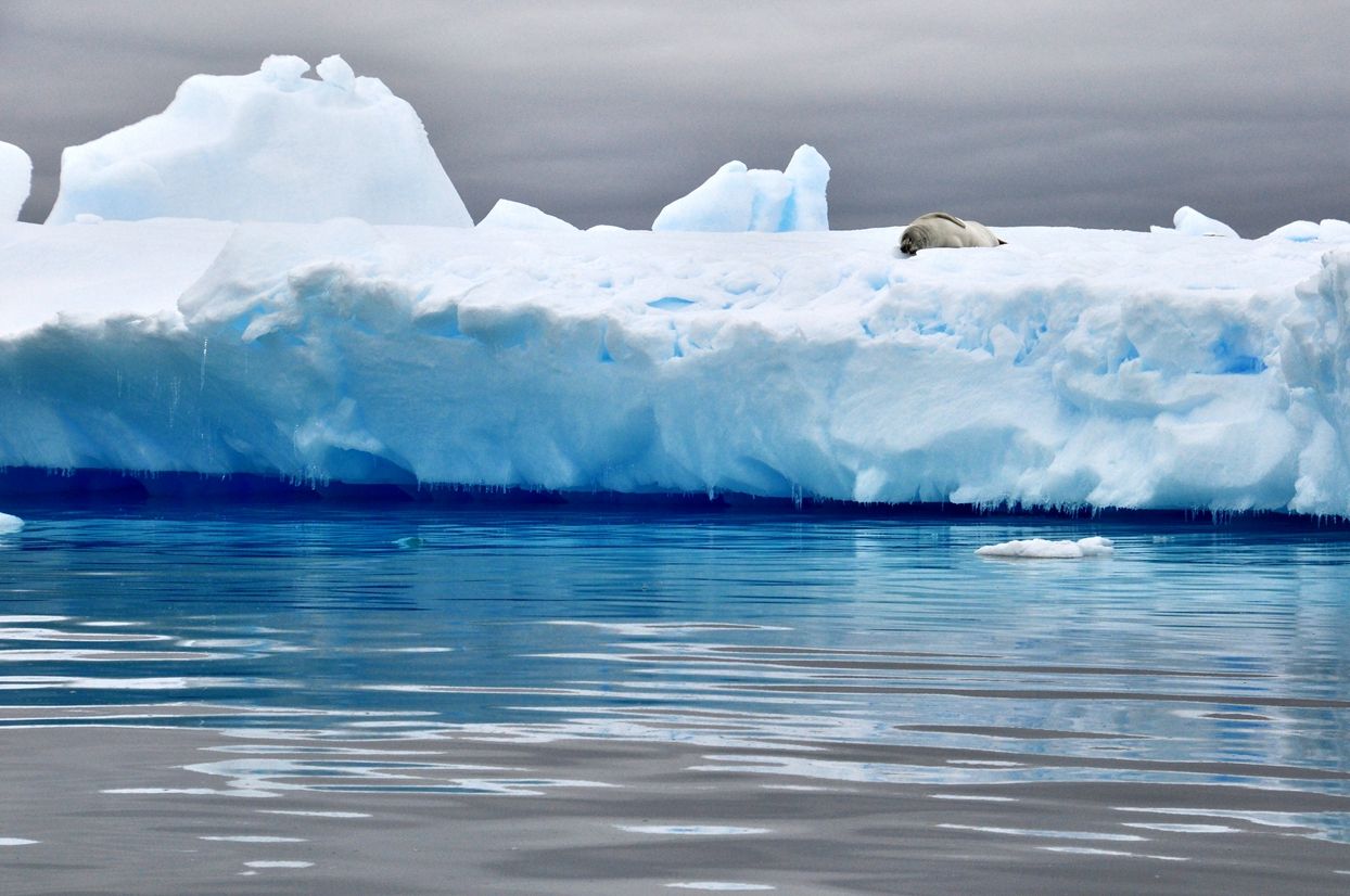 千年寒冰蓝得发紫！穿越66°33'S的南极圈_读特新闻客户端