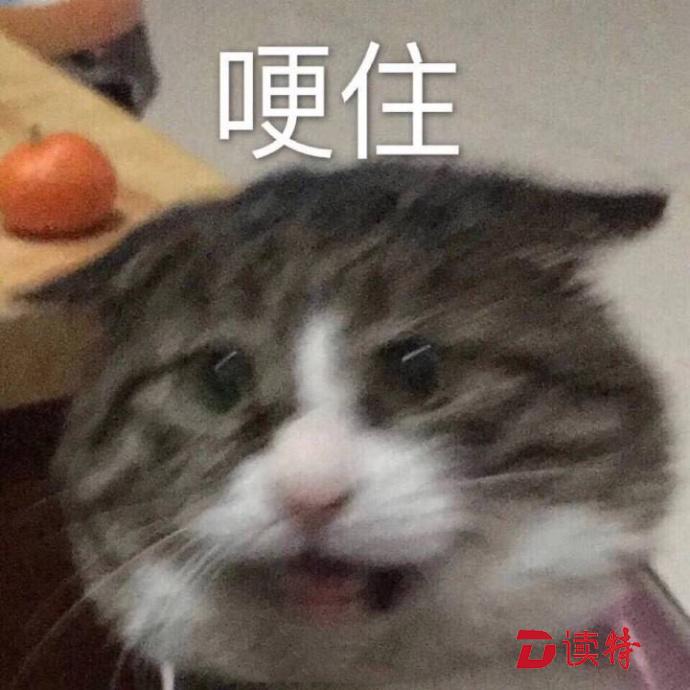 吹够了春风，沉迷在果子里~