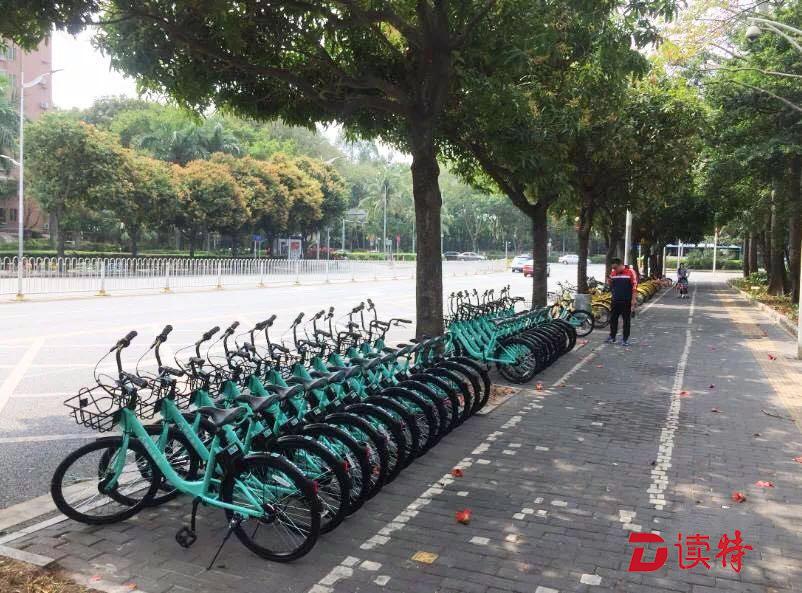 深圳交委夜发声明：立刻收回滴滴在深违规投放的青桔单车