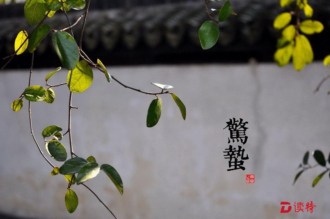一雷惊蛰始，今夜去看“奥斯卡”！