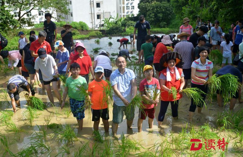 脱鞋下田图片