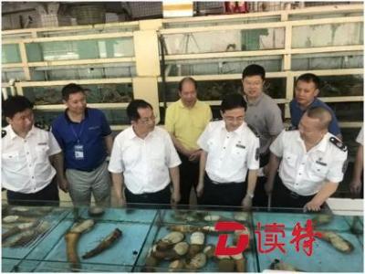 广东省食安办主任骆文智带队检查深圳罗芳水产批发市场