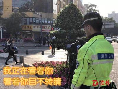 严查重点交通违法！12日起深圳全市开展电子监控视频大会战