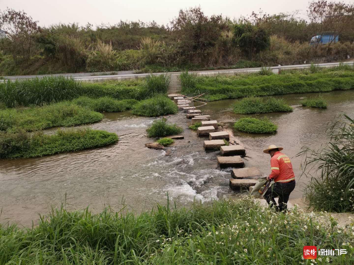 凤凰街道：强化“河长制”落到实处 还茅洲河一片靓丽“新颜” 